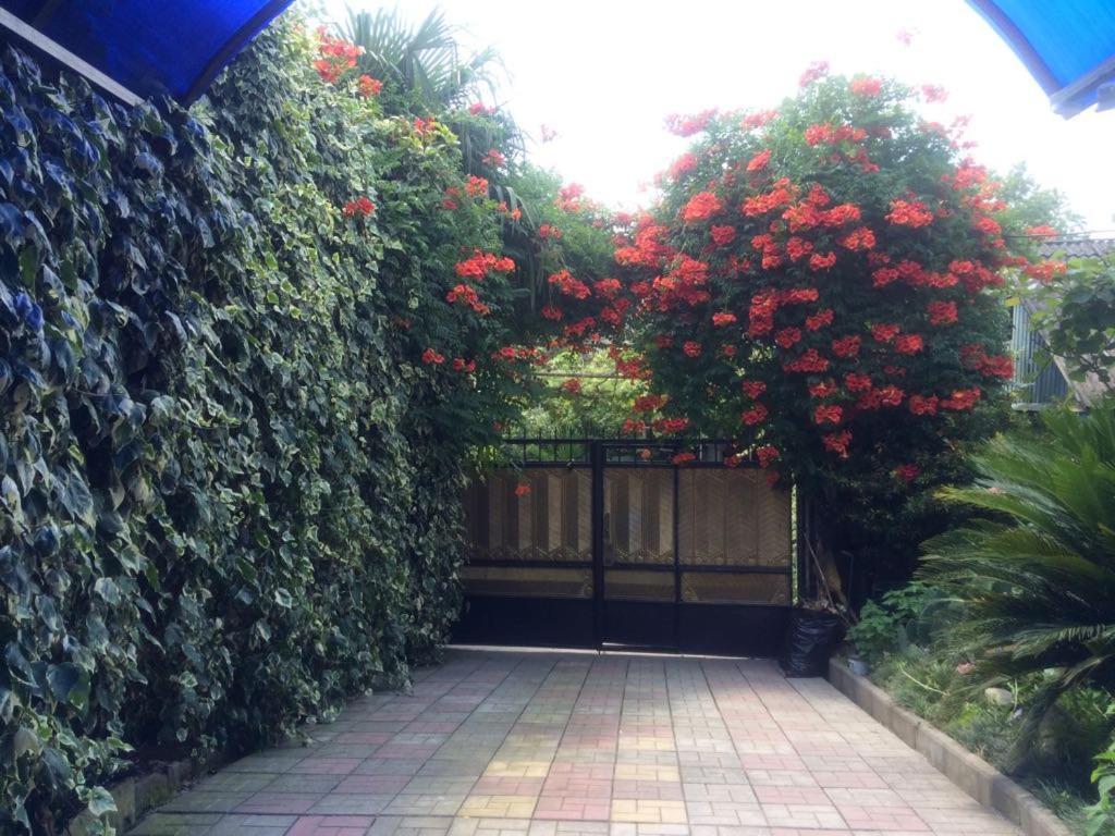 Гостевой Дом У Левы Hotel Gagra Bagian luar foto