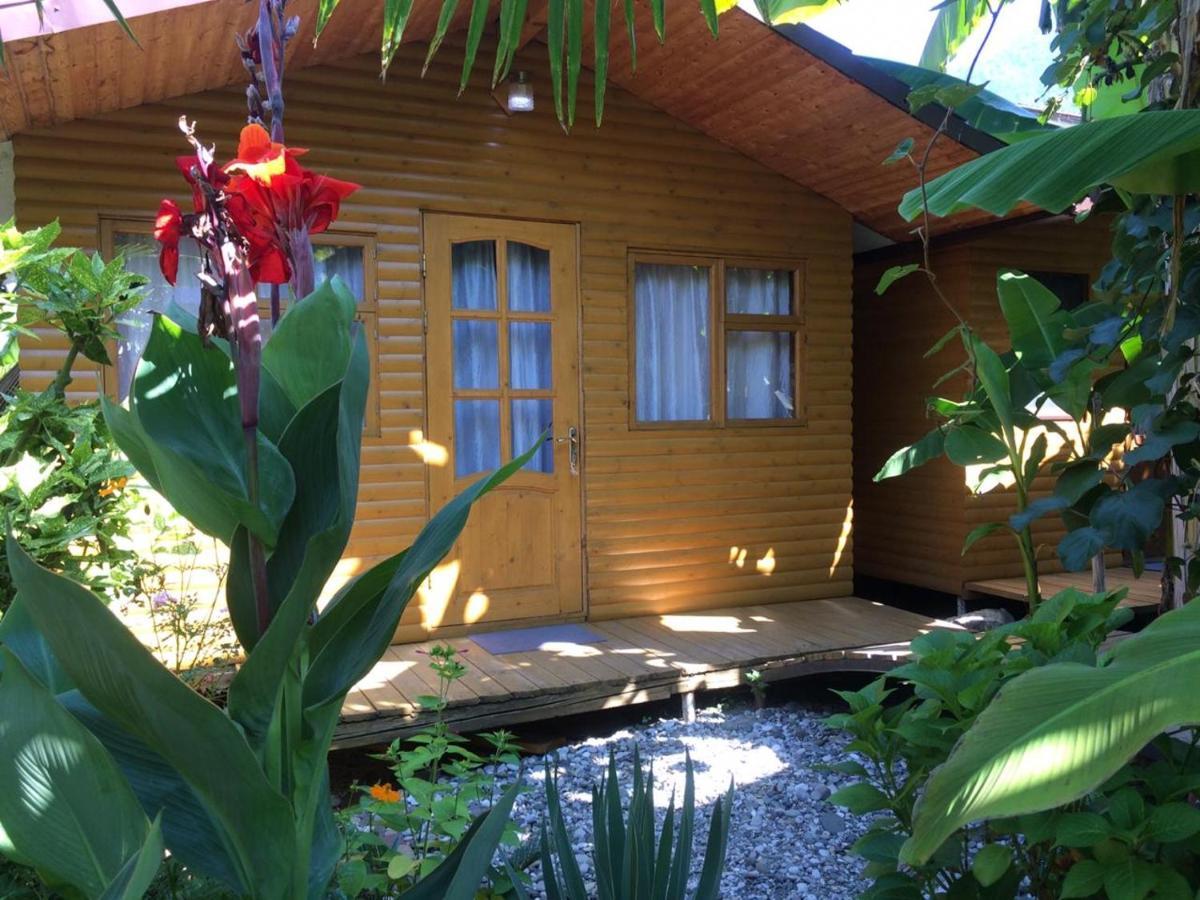 Гостевой Дом У Левы Hotel Gagra Bagian luar foto