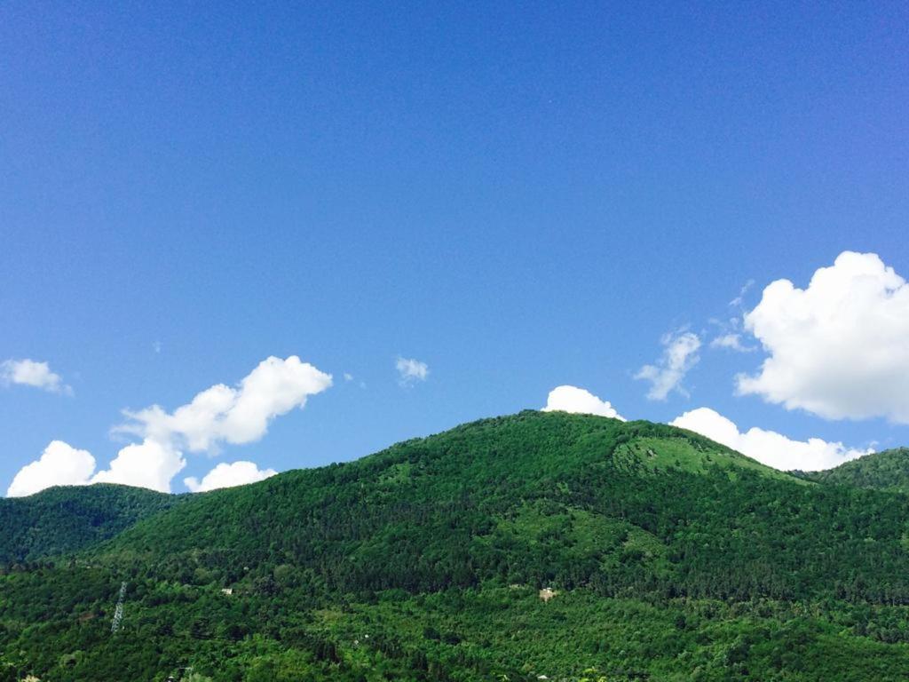 Гостевой Дом У Левы Hotel Gagra Bagian luar foto