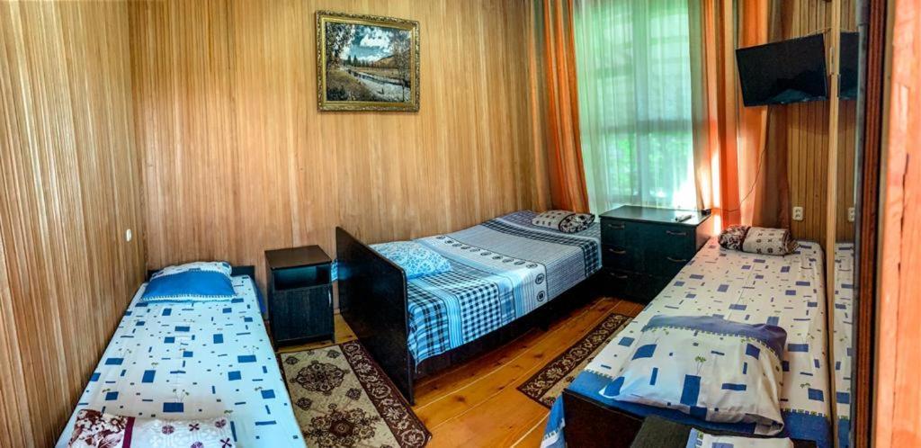 Гостевой Дом У Левы Hotel Gagra Bagian luar foto
